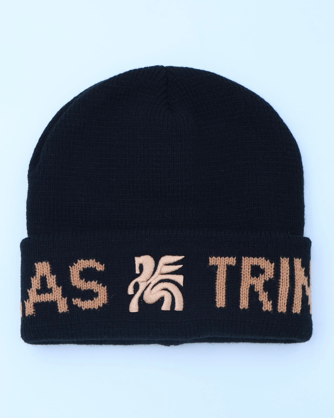 DTFC Black Beanie
