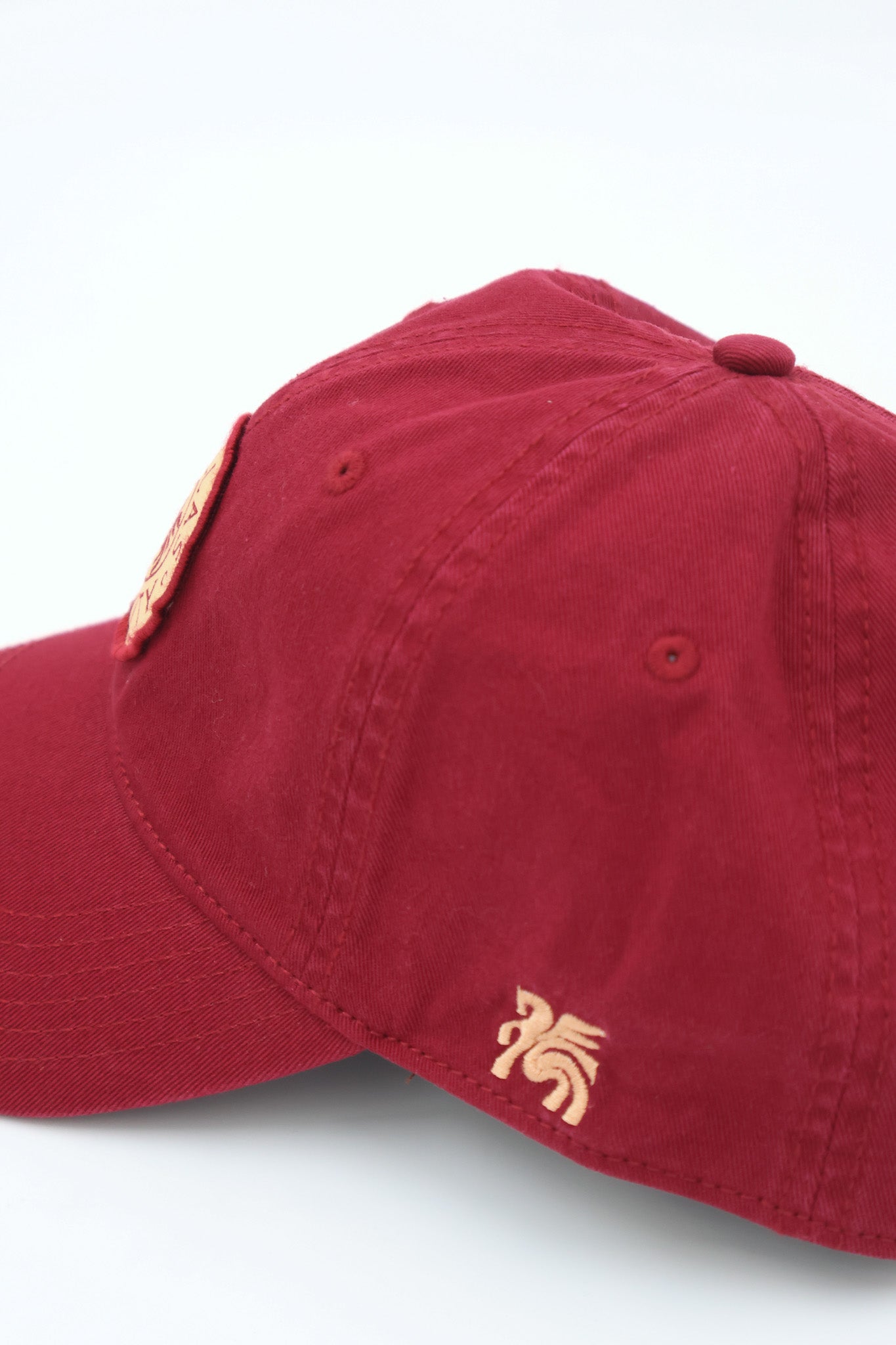 Crest Gold Patch Hat