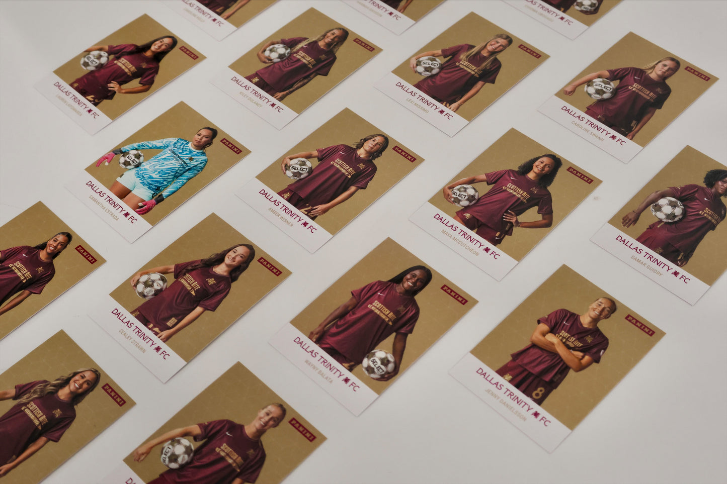 Panini DTFC Trading Cards