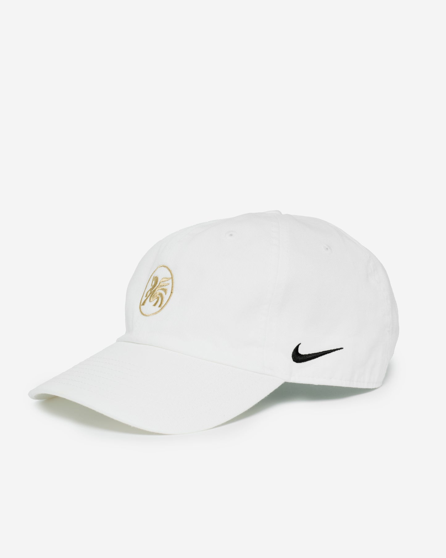 Dallas Trinity Nike Cotton Twill Cap