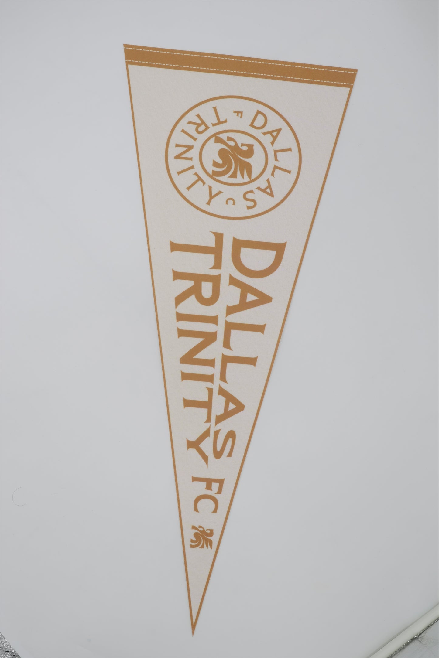 DTFC Team Pennant-White